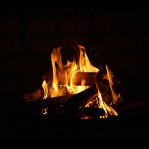 Meet your Posher, Greg & erin